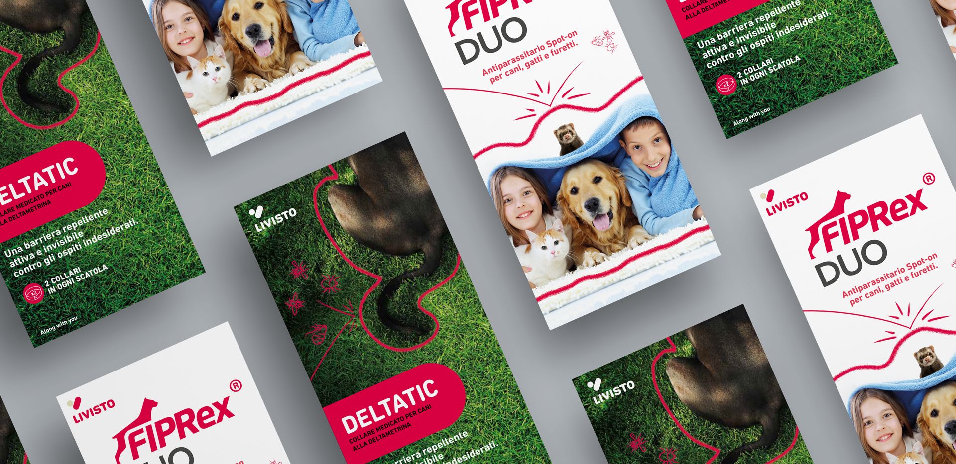Strategia di comunicazione e brochure per veterinari per Livisto